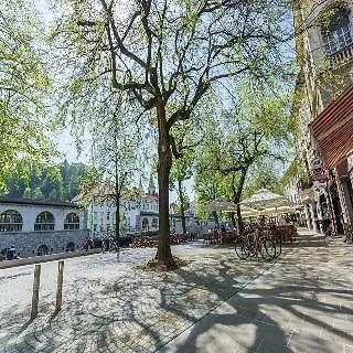 Apartment Old Town First Floor