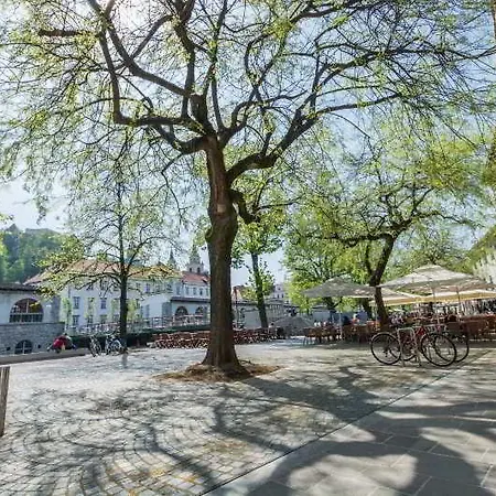 게스트하우스 Old Town