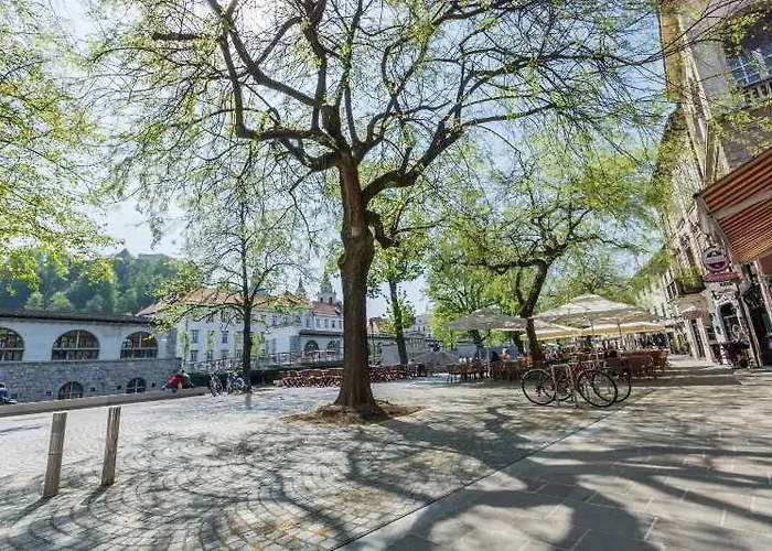 Apartment Old Town First Floor